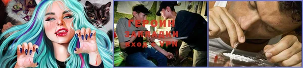 прущие грибы Гусев