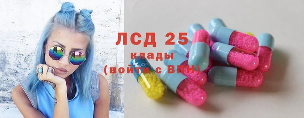 прущие грибы Гусев