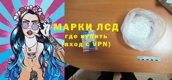 прущие грибы Гусев