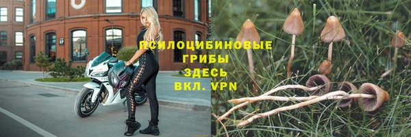 бутират Вяземский