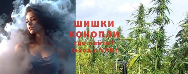 прущие грибы Гусев