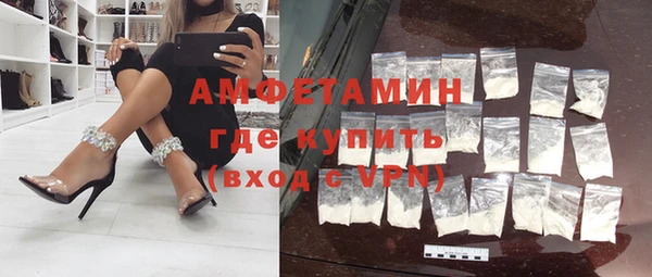 прущие грибы Гусев