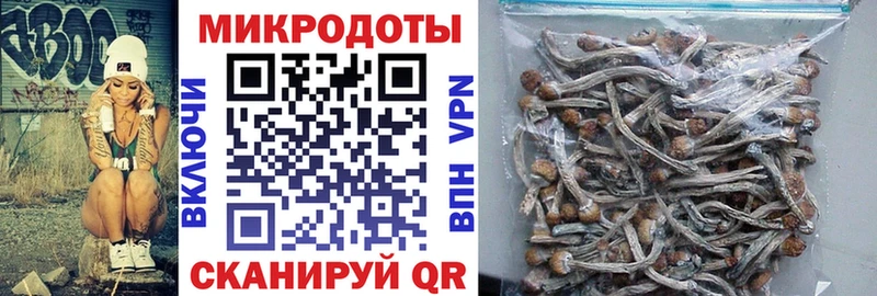 Купить  Новохопёрск  Псилоцибиновые грибы прущие грибы 